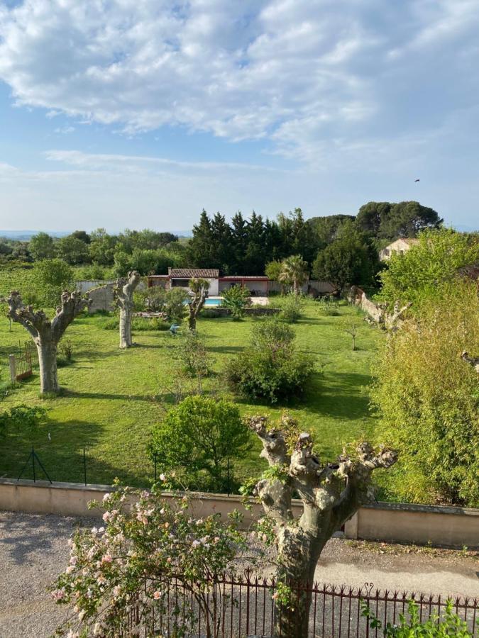 Peyriac-Minervois Le Relais D'Affiac Bed & Breakfast エクステリア 写真