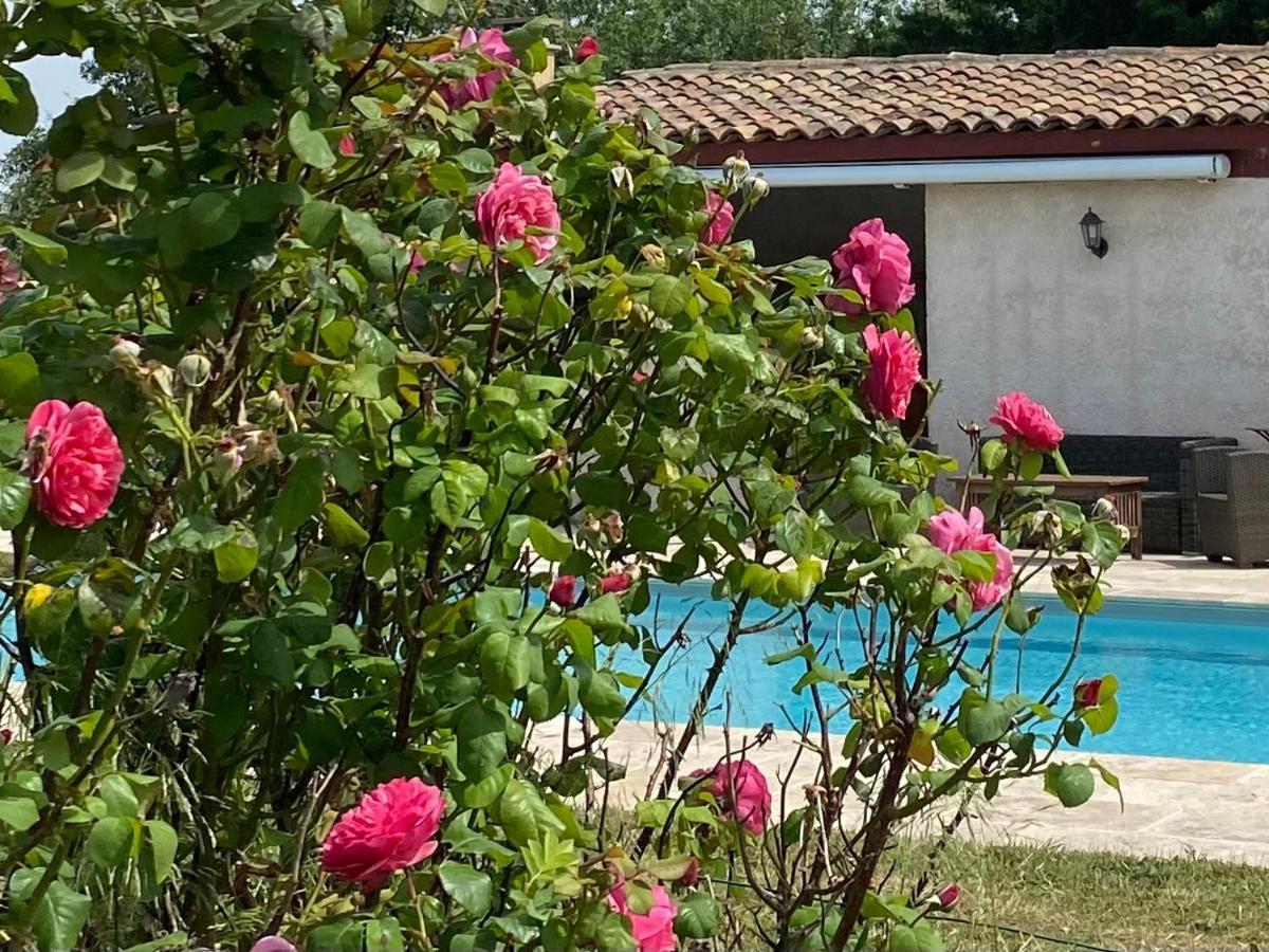 Peyriac-Minervois Le Relais D'Affiac Bed & Breakfast エクステリア 写真