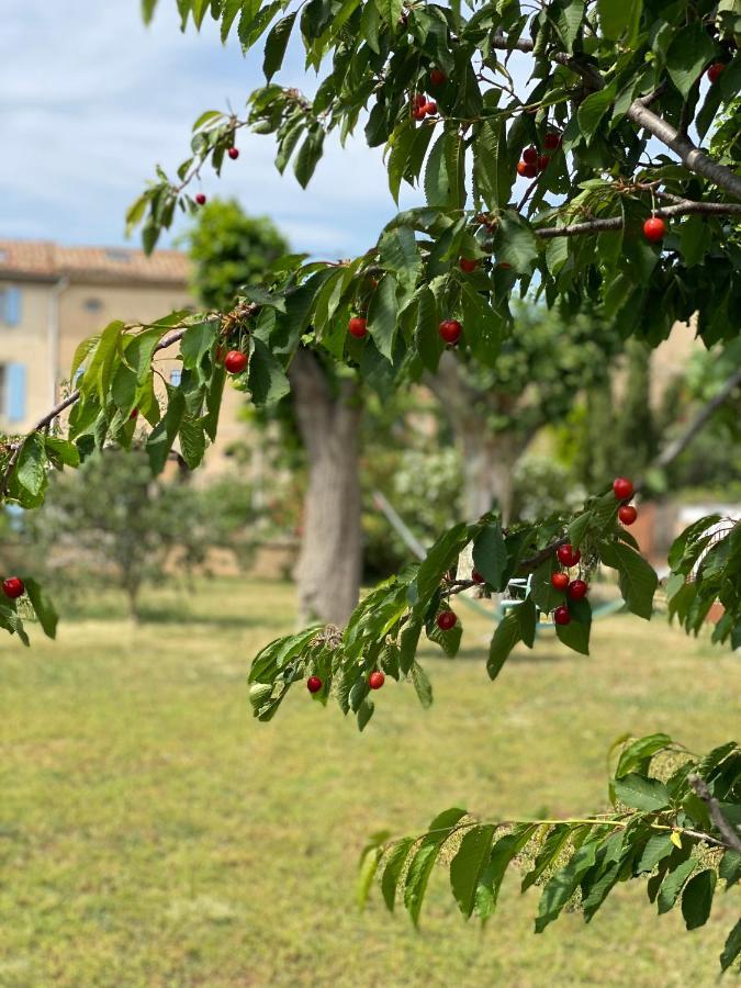 Peyriac-Minervois Le Relais D'Affiac Bed & Breakfast エクステリア 写真