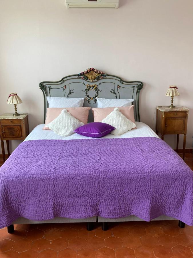 Peyriac-Minervois Le Relais D'Affiac Bed & Breakfast エクステリア 写真