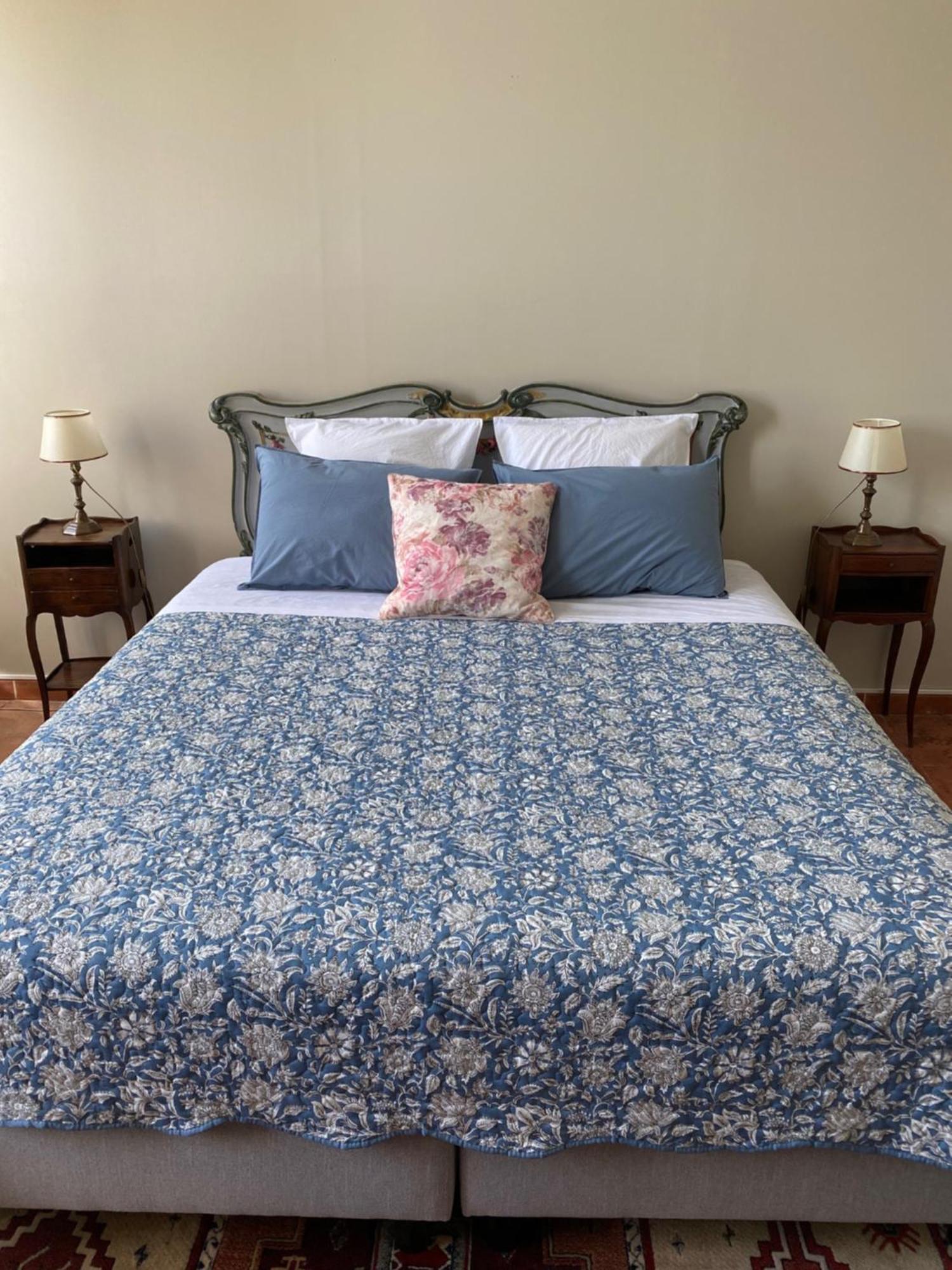 Peyriac-Minervois Le Relais D'Affiac Bed & Breakfast エクステリア 写真